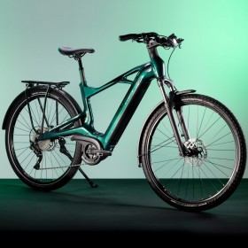 Bianchi e-Vertic T-Type 