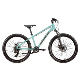 Bianchi 24" disc