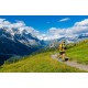 Grivel Trail 3